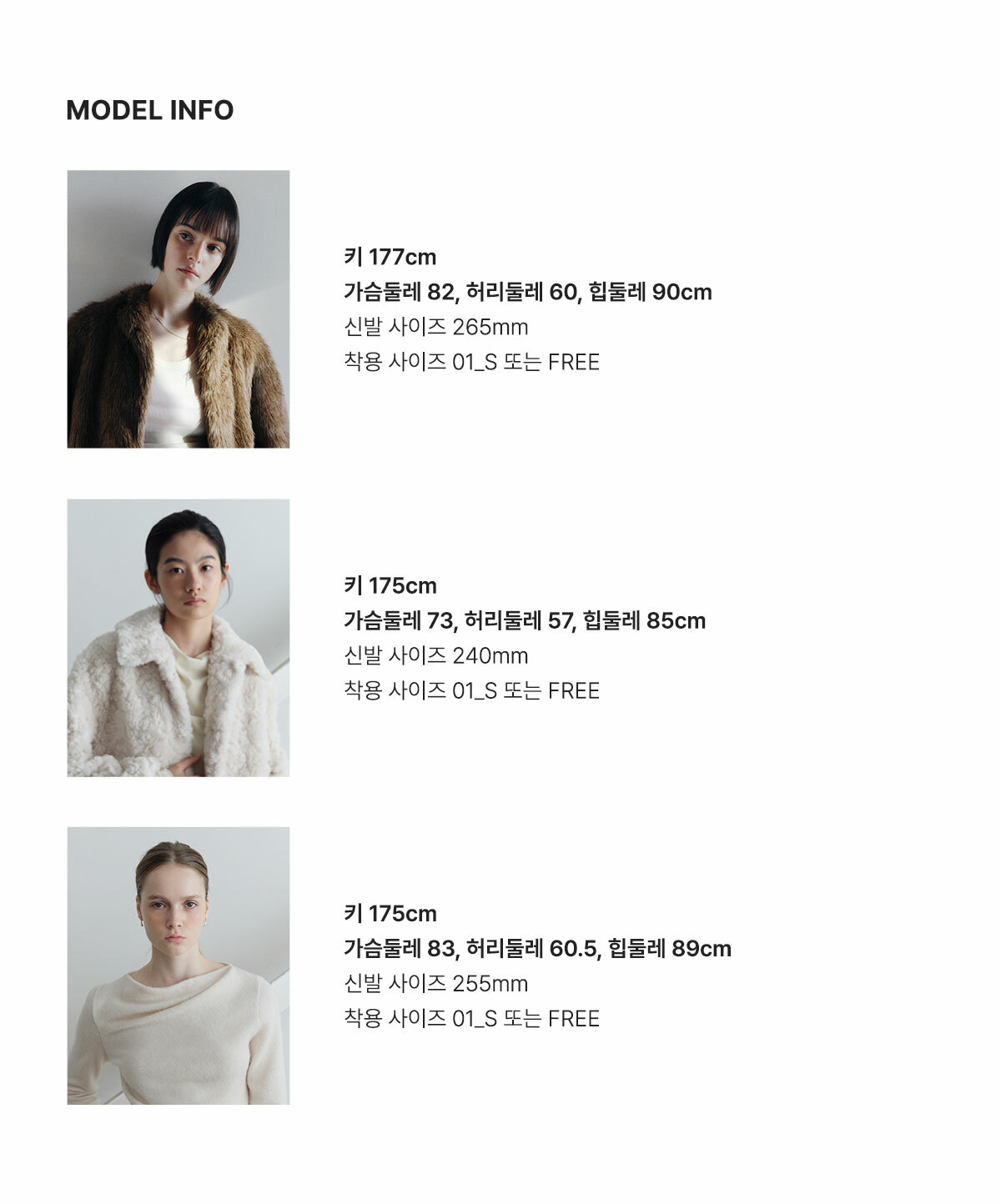 모델정보